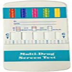 Rapid Test Kits